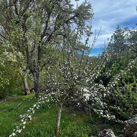 El Pecu Casa Rural Starfamiliar Bustillo Del Paramo Екстериор снимка