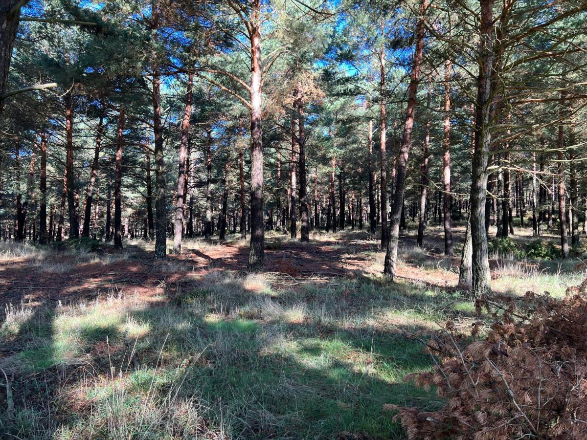 El Pecu Casa Rural Starfamiliar Bustillo Del Paramo Екстериор снимка