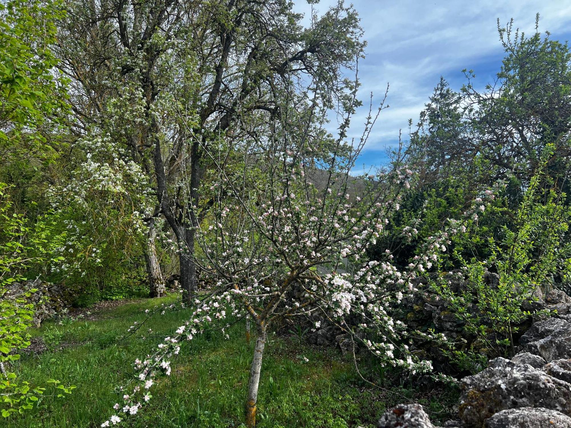El Pecu Casa Rural Starfamiliar Bustillo Del Paramo Екстериор снимка